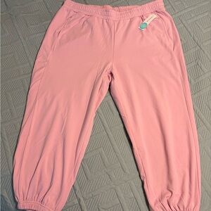 We Wander by Stitch Fix Pink Jogger Pants Size 2X Elastic Waist Pockets